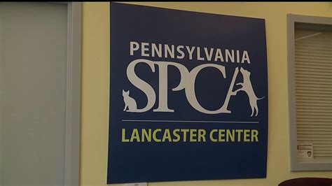 Lancaster county spca - LANCASTER CENTER FOR ANIMAL LIFE-SAVING. Address: 2195 Lin­coln High­way East, Lan­caster, PA 17602 Phone: (717) 393-6551 | Email: adoptlancaster@humanepa.org Hours of Operation: 9 AM – 5 PM, seven days a week 